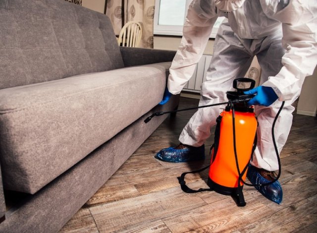 الصياد-للخدمات-مكافحة-حشرات