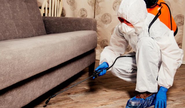 مكافحة-حشرات-الكويت