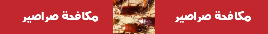 مكافحة-الصراصير