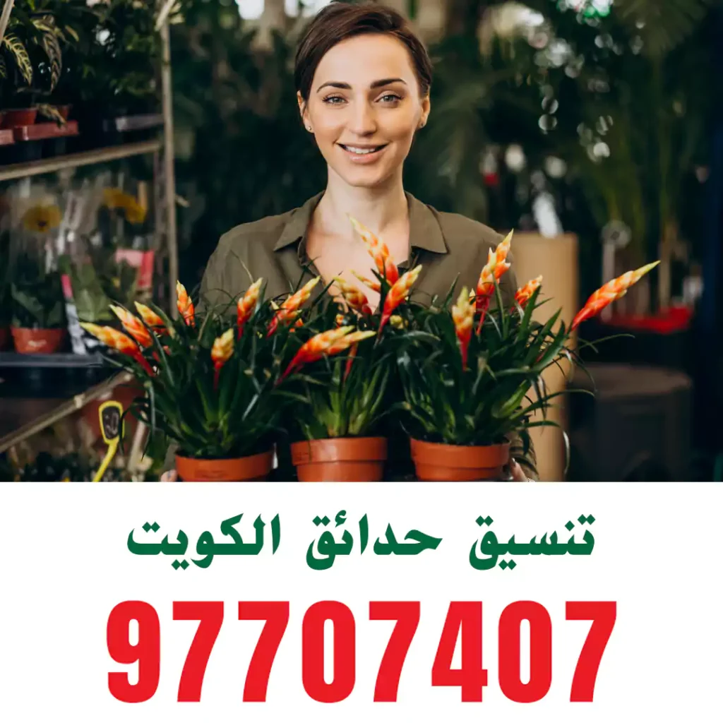 تنسيق حدائق مبارك