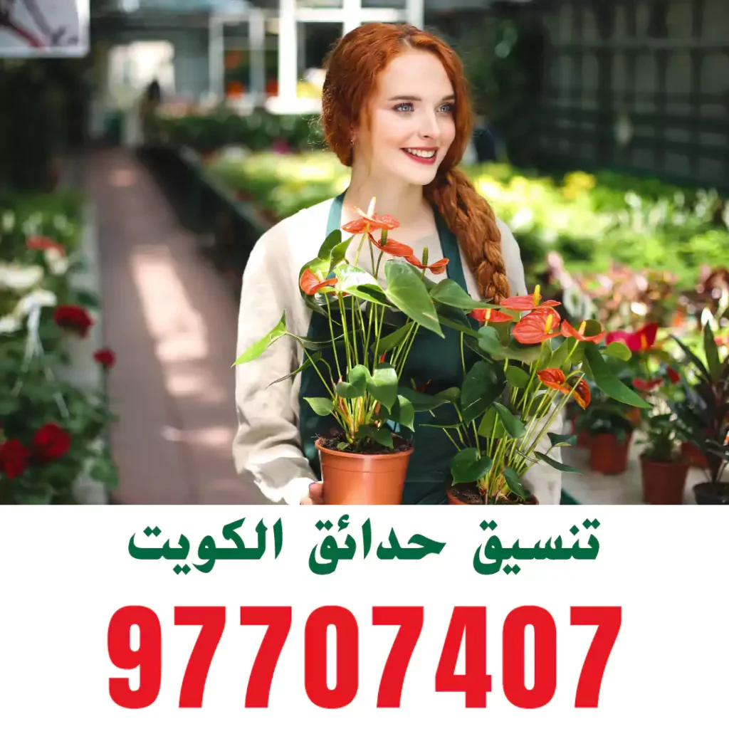 تنسيق حدائق الروضة