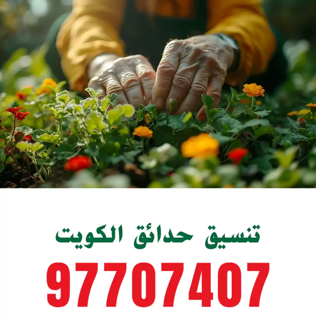 تنسيق حدائق مشرف