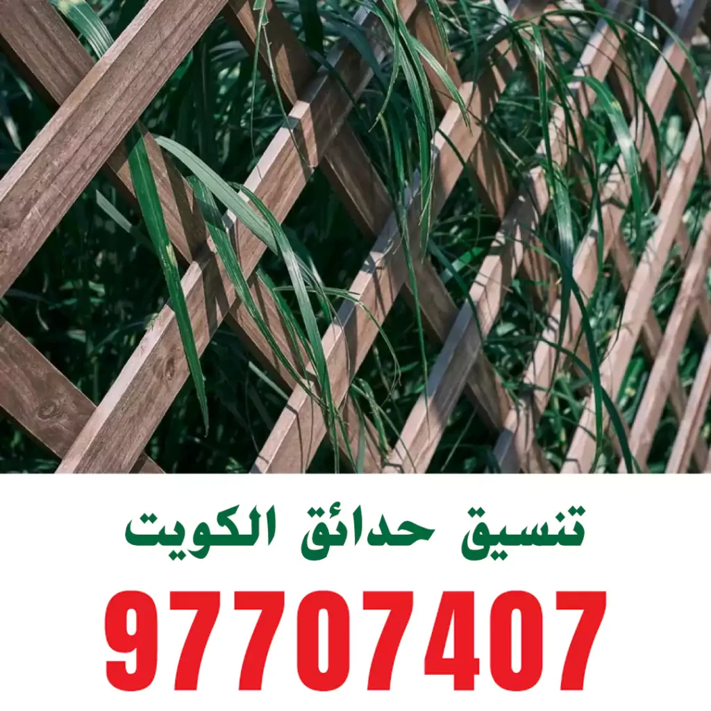 تنسيق حدائق حولي