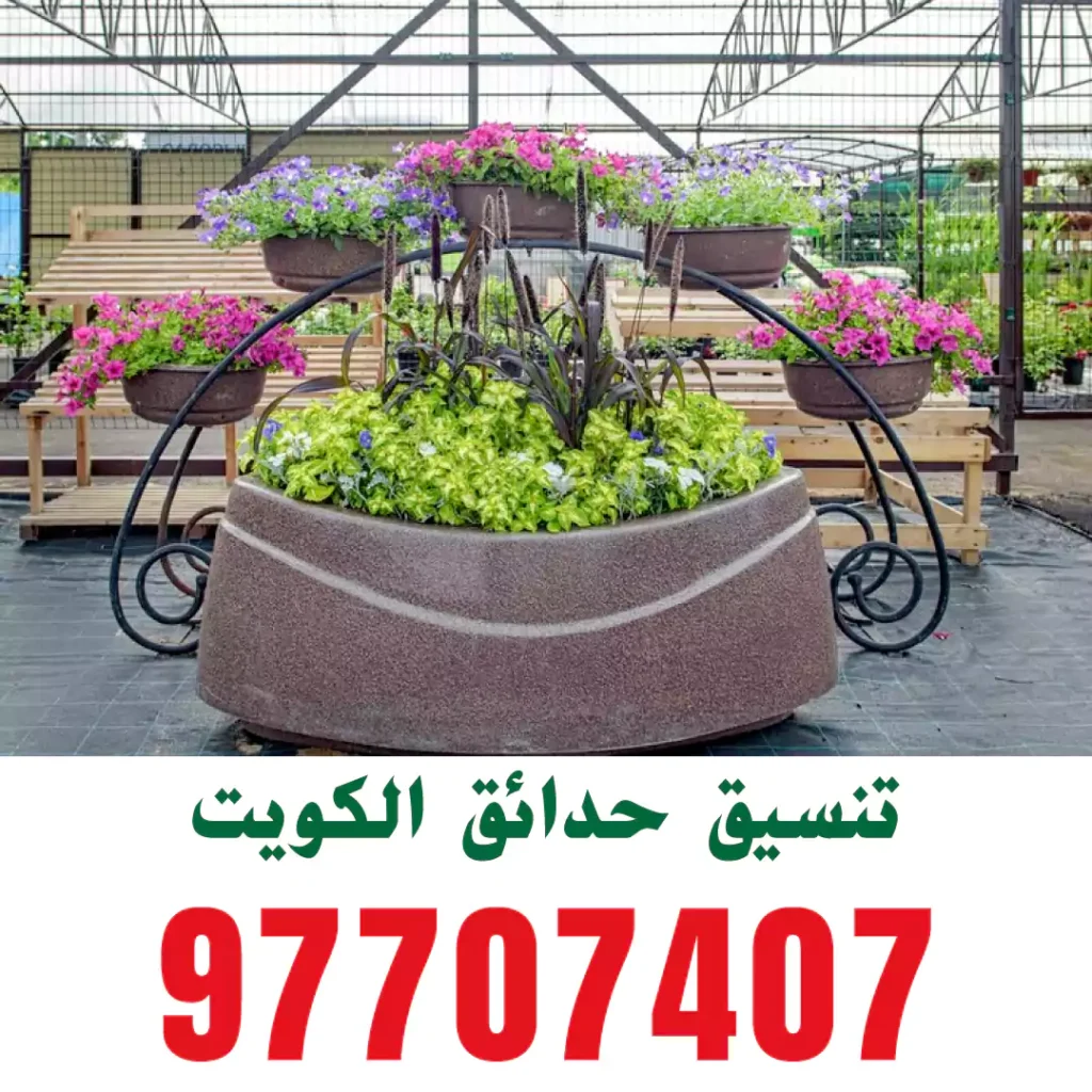 تنسيق حدائق حولي