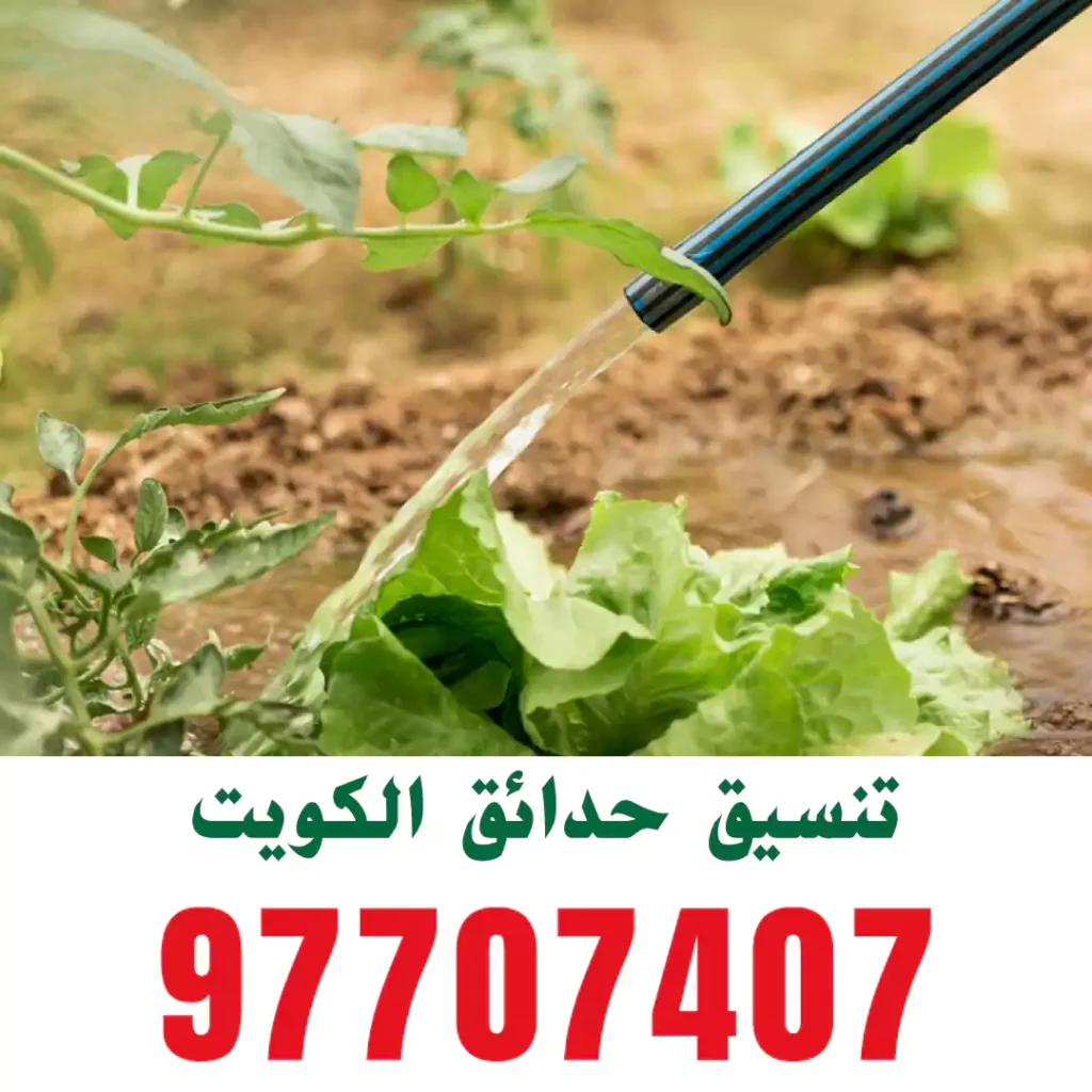 تنسيق حدائق الصبية
