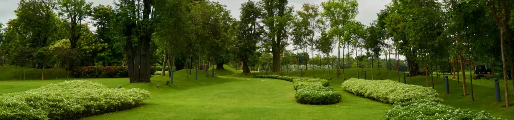 زراعة حدائق