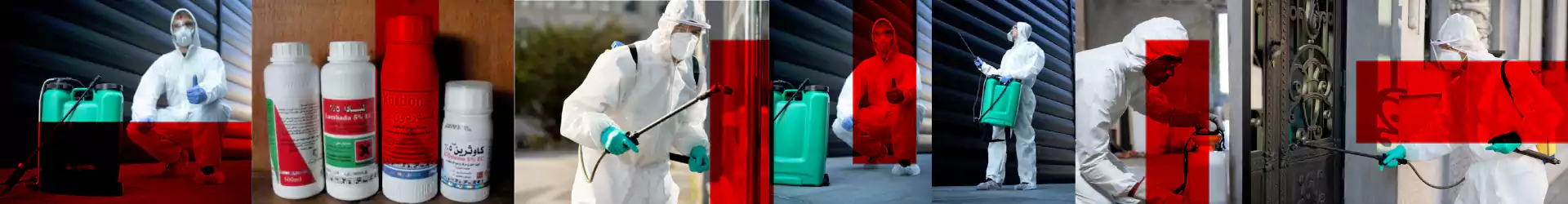 مكافحة حشرات وقوارض