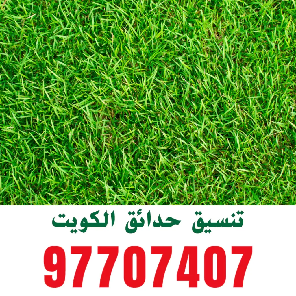 زراعة ثيل
