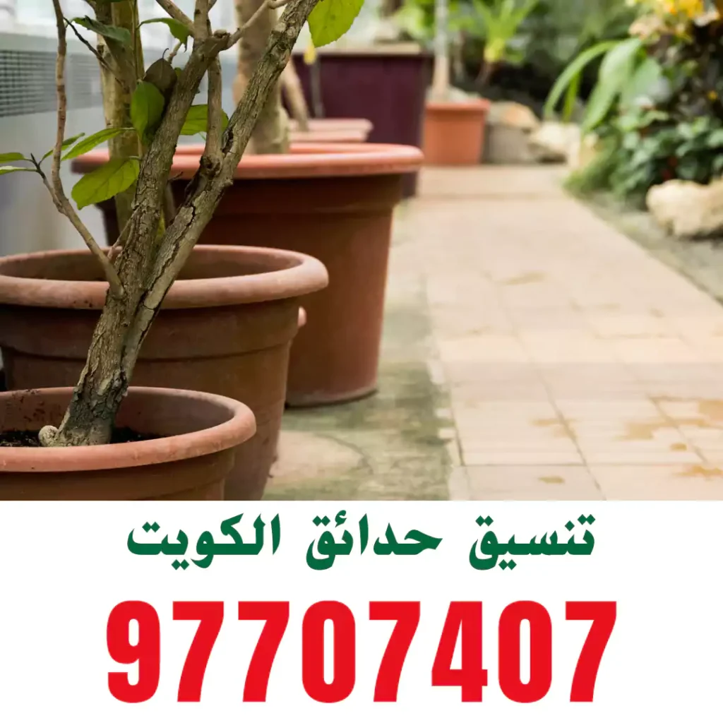 تركيب ثيل صناعي