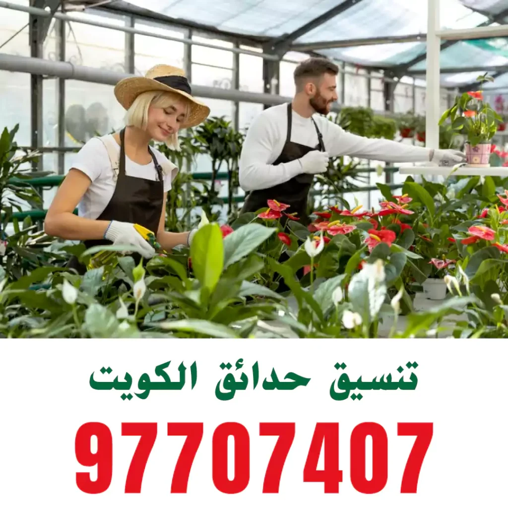 خدمات تنسيق حدائق