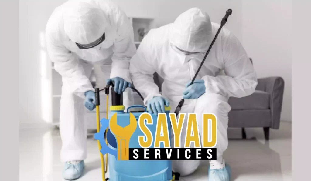 رش حشرات العاصمة